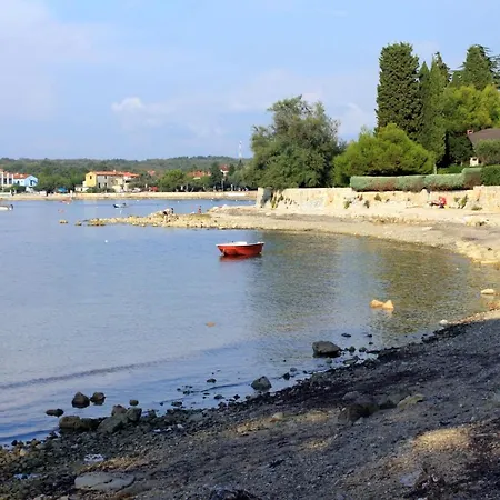 With Wifi Dajla, Novigrad - 3051 Apartament Novigrad (Istria)